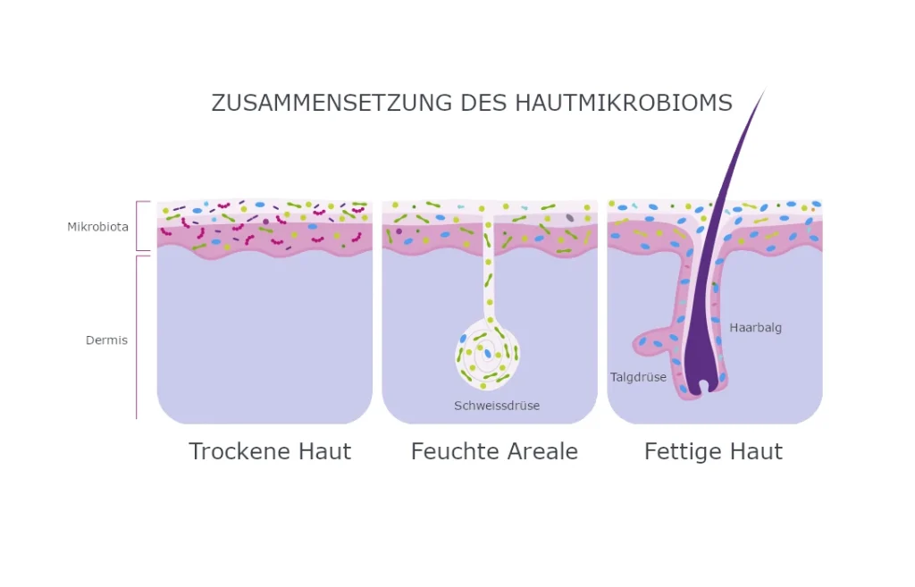Hautmikrobiom stärken